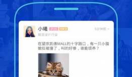 91看手机直播免费下载,免费下载畅享无限精彩